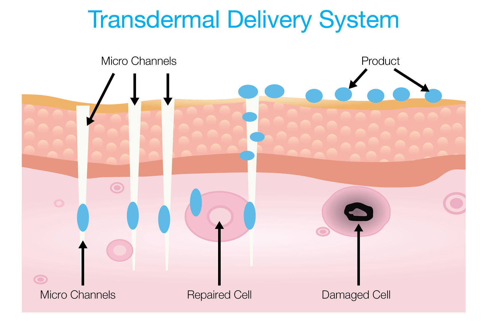 Lordesskin Micro Needling Lift & Renewal Ritual